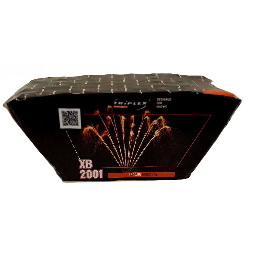 XB2001 WYRZUTNIA KĄTOWA
