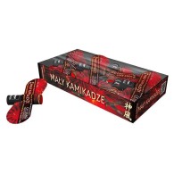 W504 MAŁY KAMIKADZE 2 SZTUK LATAJACYCH SAMOLOTÓW
